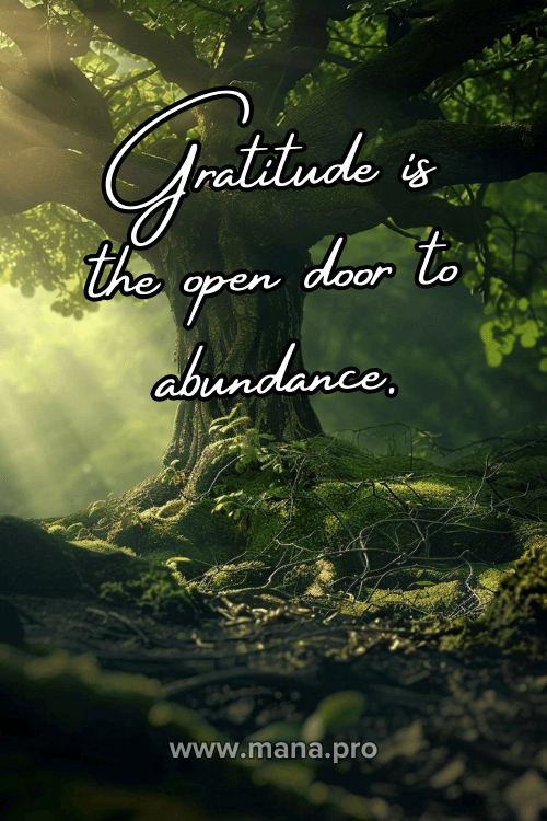Best Yoga Quotes On Gratitude