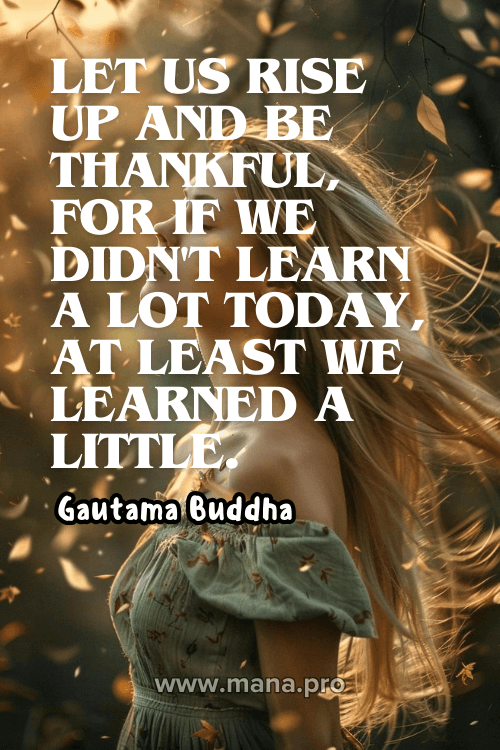 Deep Yoga Quotes On Gratitude