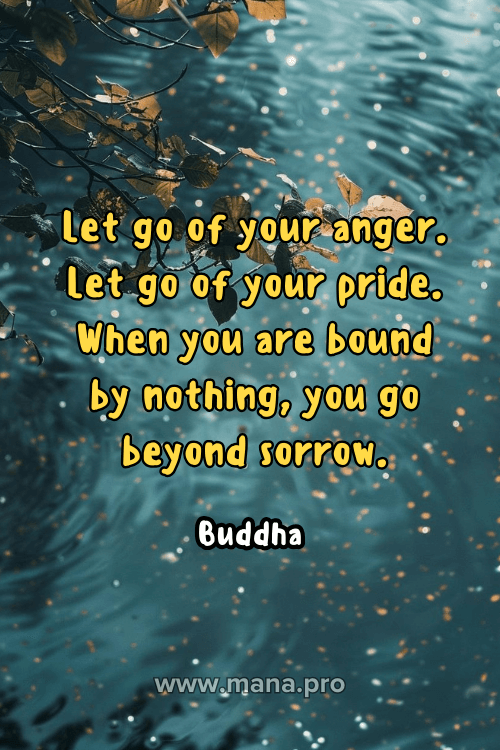 Motivational Quotes On Letting Go Of Anger