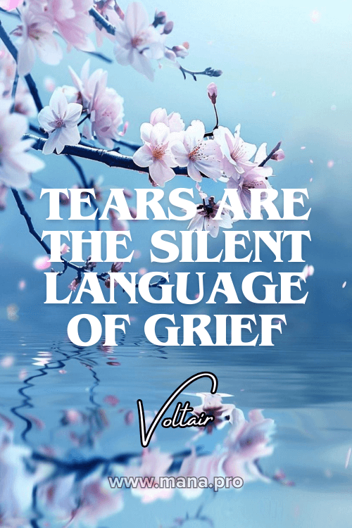 Quotes About Silence and Crying 