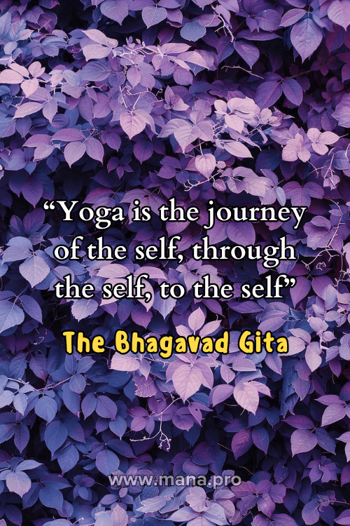 Self-Love Yoga Retreat Quotes
