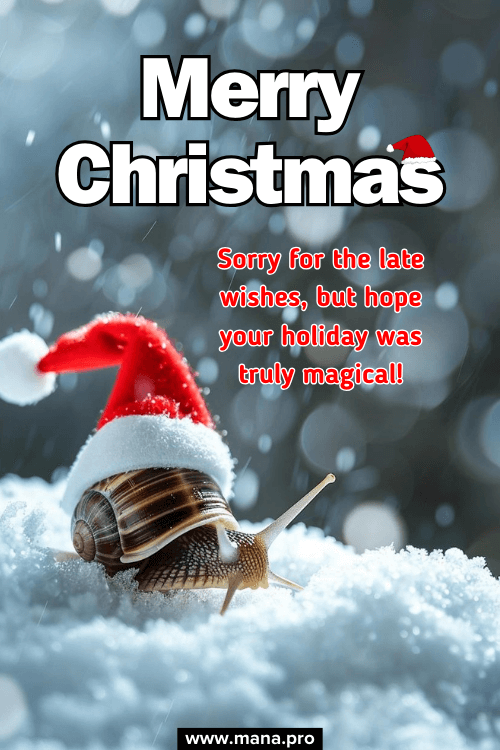 Belated Christmas Wishes & Messages For Friends