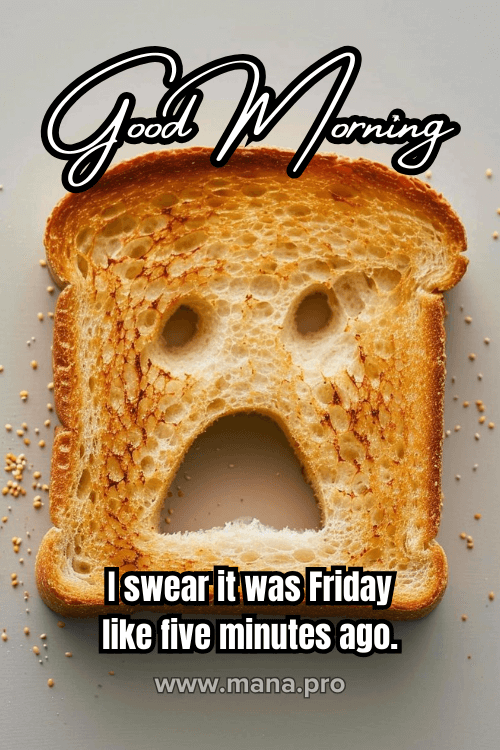 Funny Good Morning Happy Monday Images