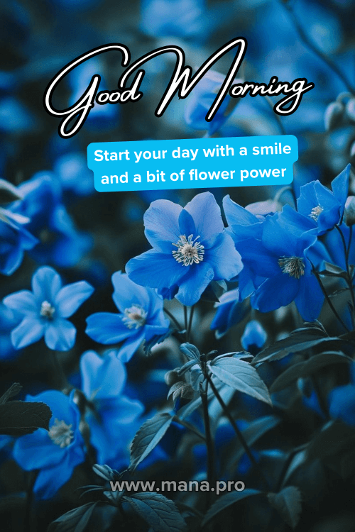 Good Morning Blue Flowers Images