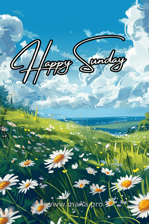 Good Morning Happy Sunday Flowers Images