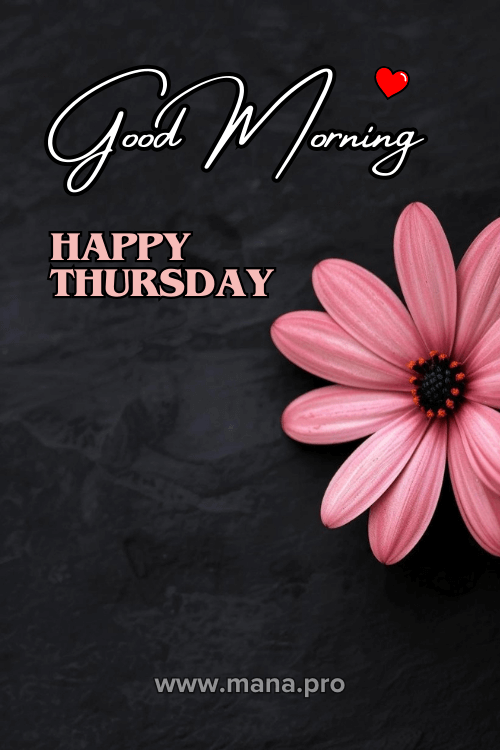 Good Morning Happy Thursday Flowers Images