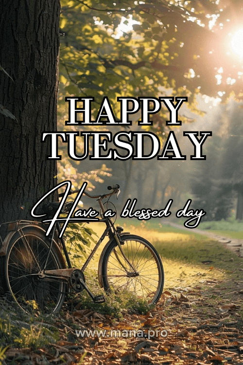 Good Morning Happy Tuesday Blessings