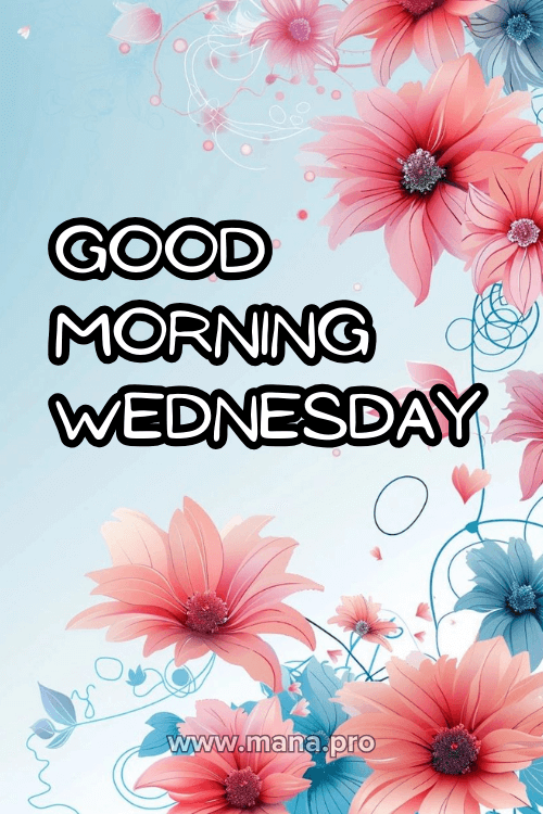 Good Morning Happy Wednesday Flowers Images