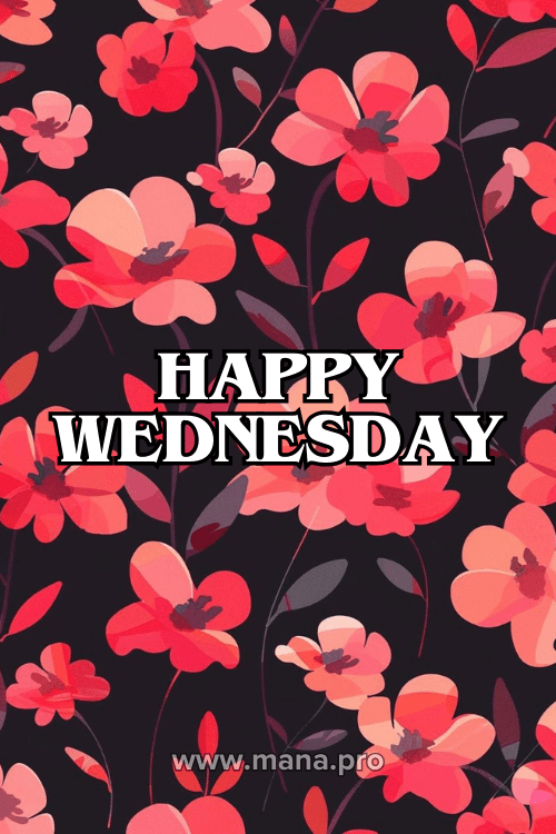 Good Morning Happy Wednesday Flowers Images