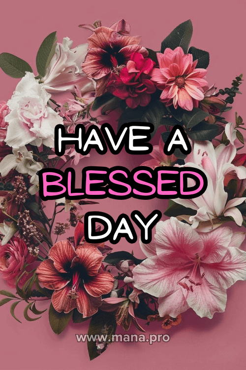 Good Morning Have A Blessed Day Images