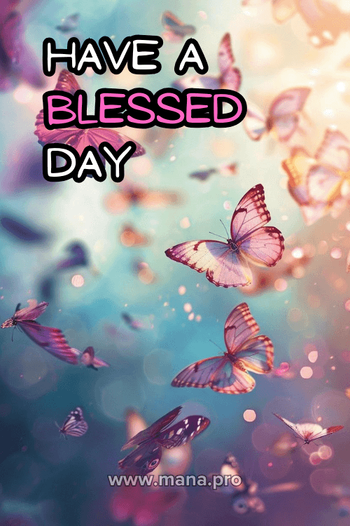 Good Morning Have A Blessed Day Images