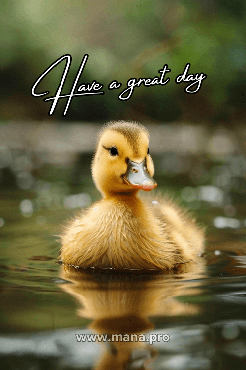 Good Morning Have A Great Day Images