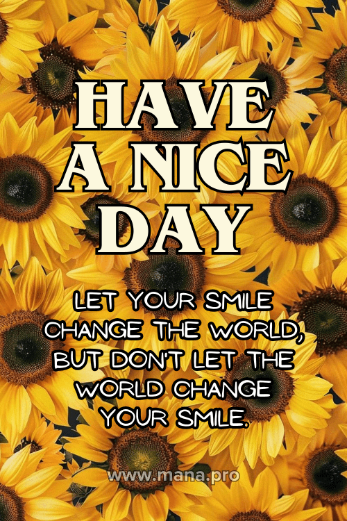 Good Morning Have A Nice Day Images
