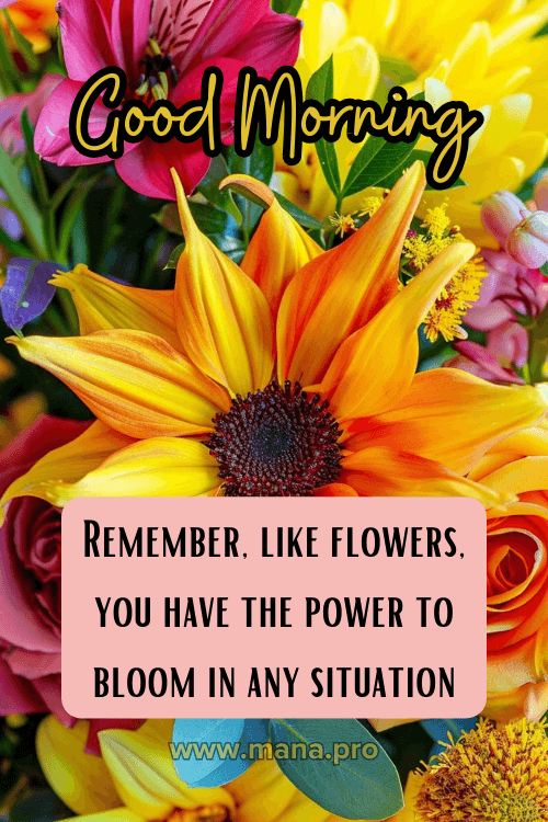 Good Morning Images With Flowers Bouquet