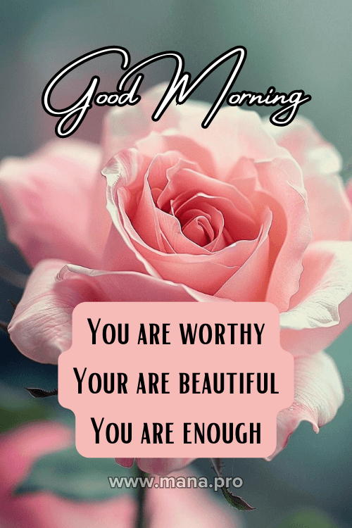 Good Morning Images With Rose Flowers