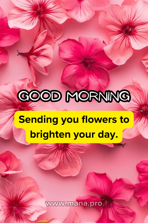 Good Morning Pink Flowers Images