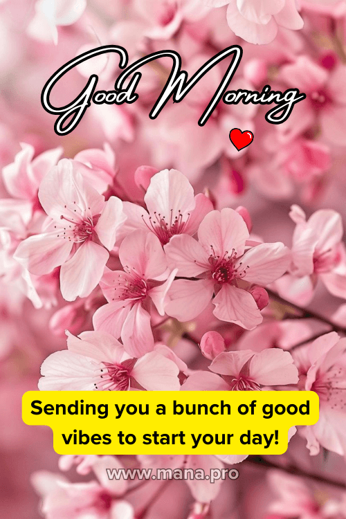Good Morning Pink Flowers Images