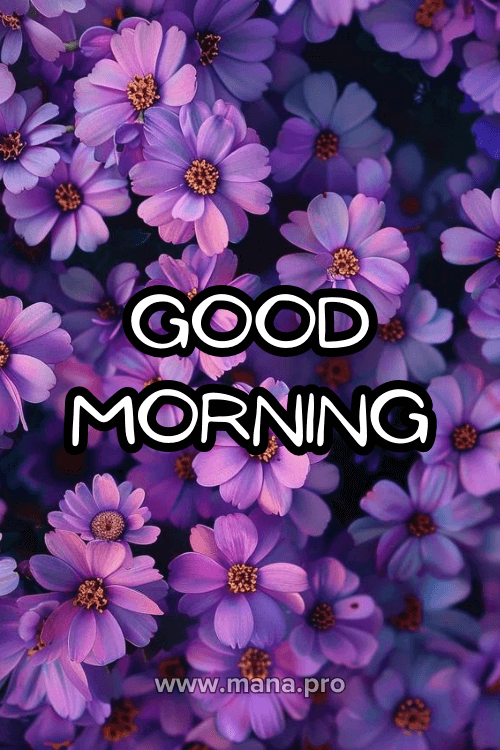 Good Morning Purple Flowers Images