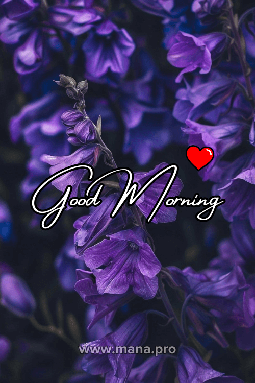 Good Morning Purple Flowers Images