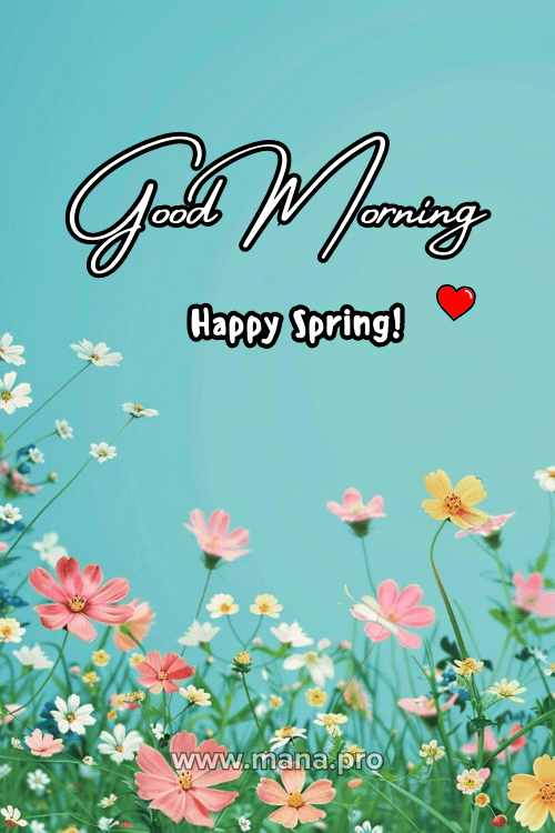 Good Morning Spring Flowers Images