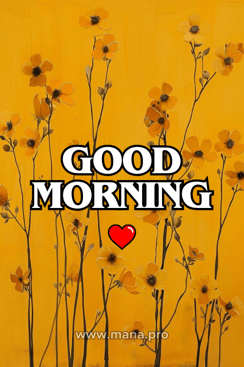 Good Morning Yellow Flowers Images
