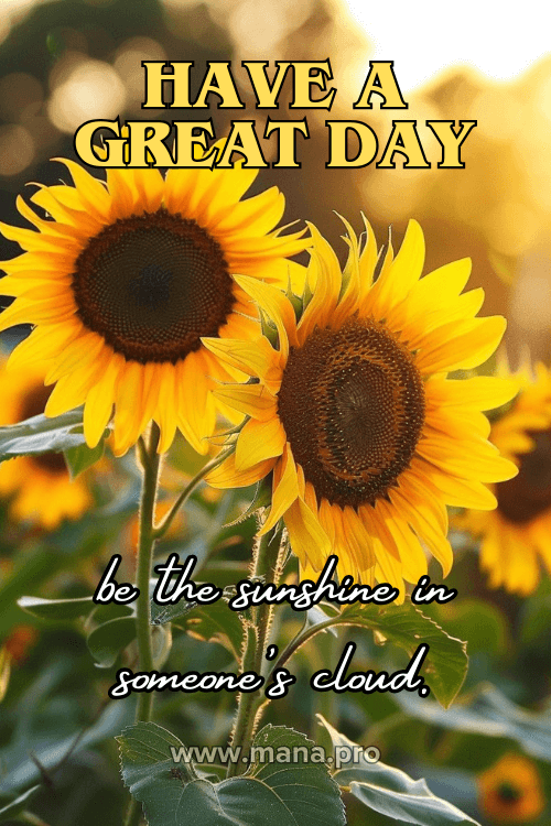 Have A Good Day Images For WhatsApp