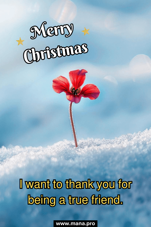 Meaningful And Thoughtful Christmas Wishes For Friends
