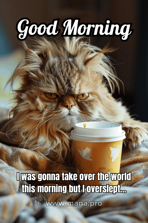 Very Funny And Hilarious Good Morning Images