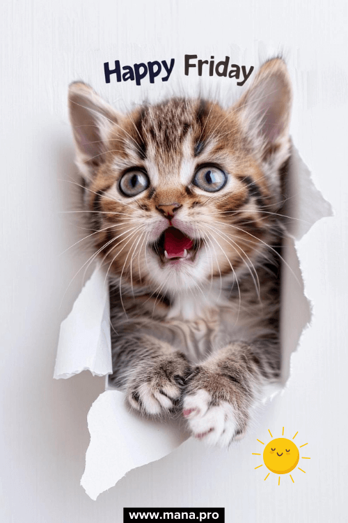 Good Morning Happy Friday Sunshine Images