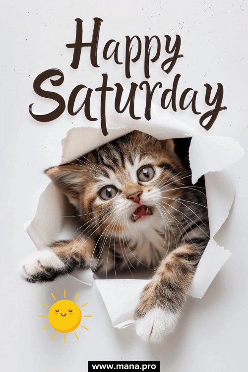 Good Morning Happy Saturday Sunshine Images