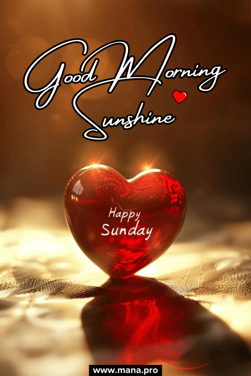 Good Morning Happy Sunday Sunshine Images