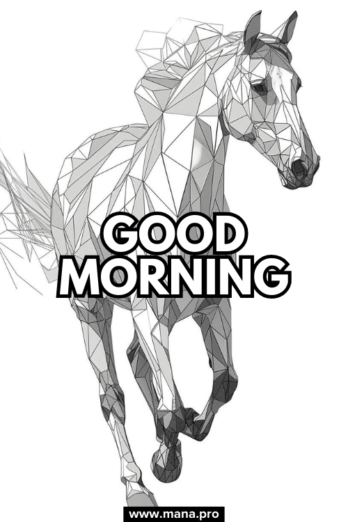 Inspirational Good Morning Horse Images