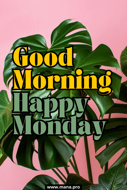 Inspirational Good Morning Monday Images