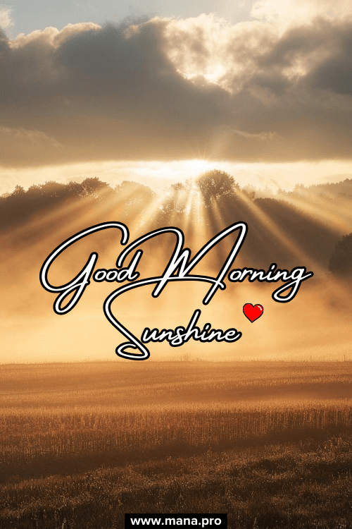 Inspirational Good Morning Sunshine Images