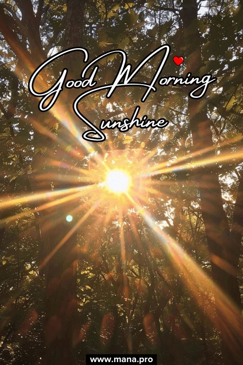 Natural Good Morning Sunshine Images