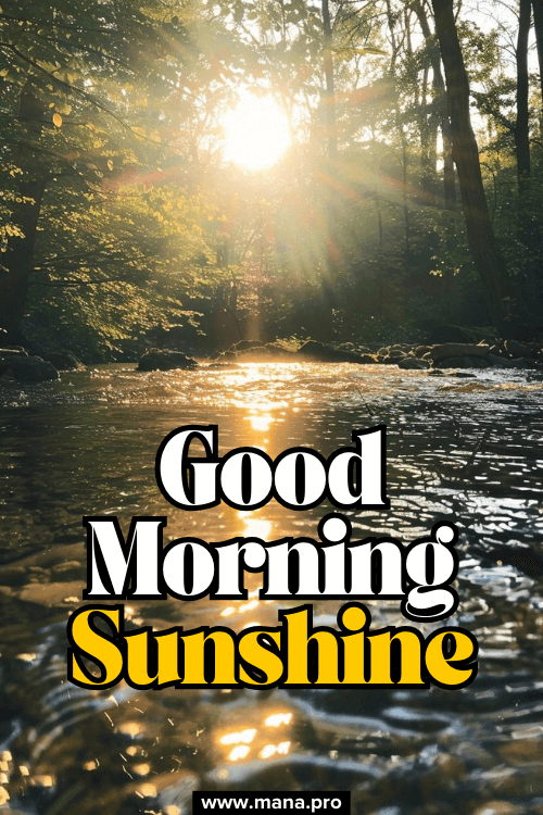 Natural Good Morning Sunshine Images