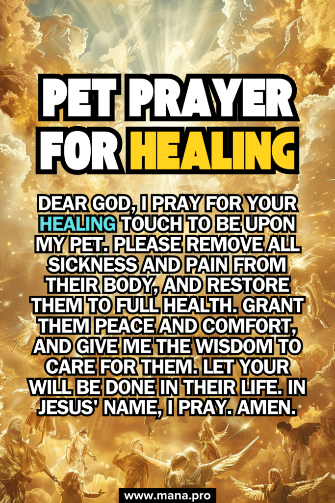 Pet Prayer For Healing