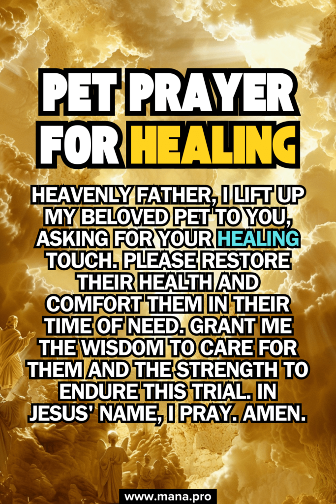 Pet Prayer For Healing